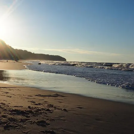 홈스테이 Arkadia